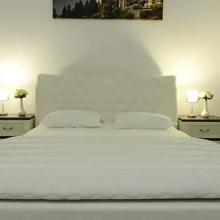 Modern Central-near Unirii Square Cluj-Napoca