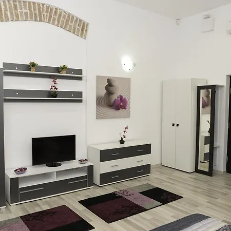 Modern Central-near Unirii Square Apartment Cluj-Napoca