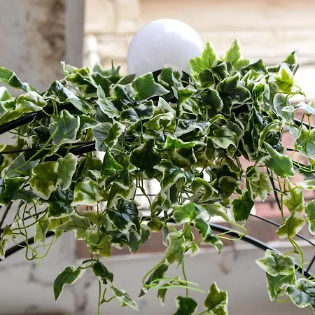 Modern Central-near Unirii Square アパート *