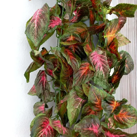 アパート Modern Central-near Unirii Square