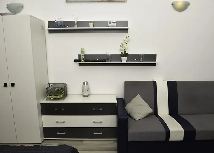 Modern Central-near Unirii Square Kluž