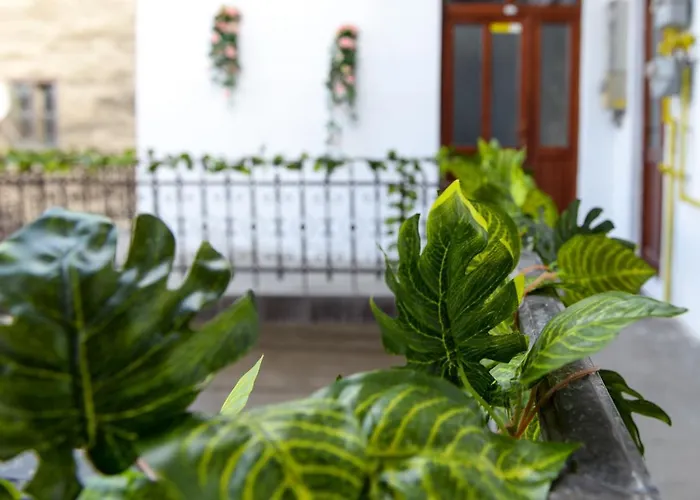 Modern Central-near Unirii Square Cluj-Napoca