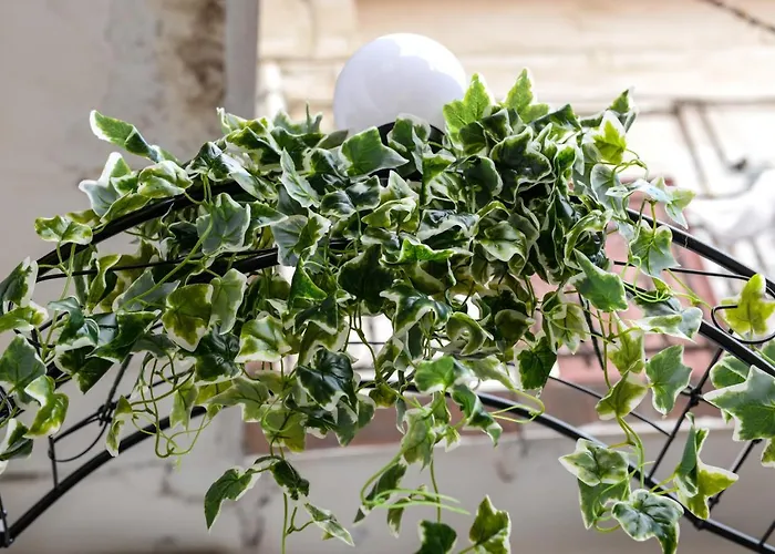 Modern Central-near Unirii Square Apartment *