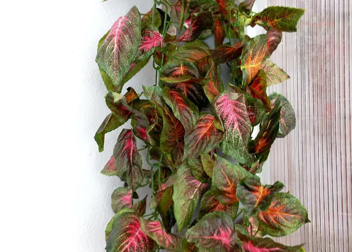 Apartmán Modern Central-near Unirii Square